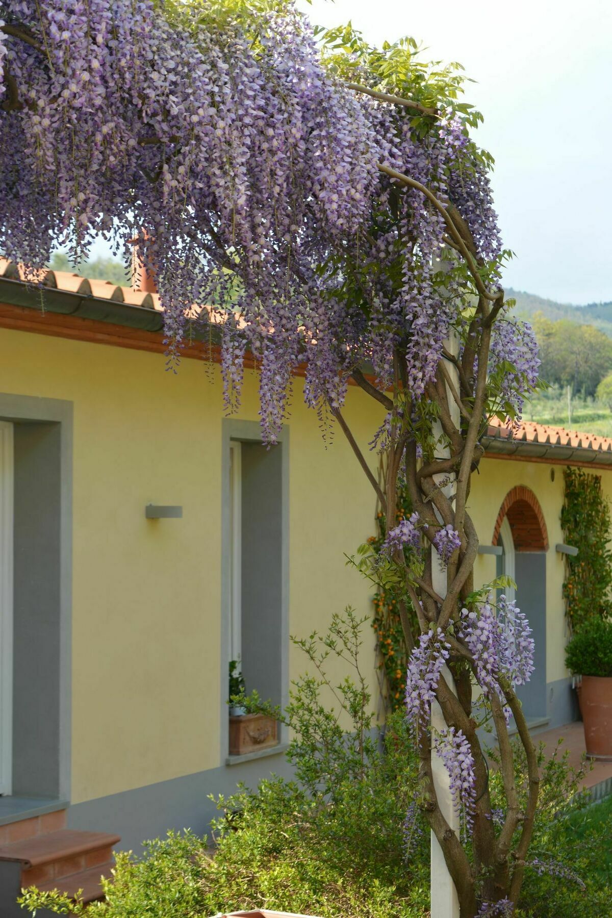 Podere Delle Fanciulle Пистойя Экстерьер фото