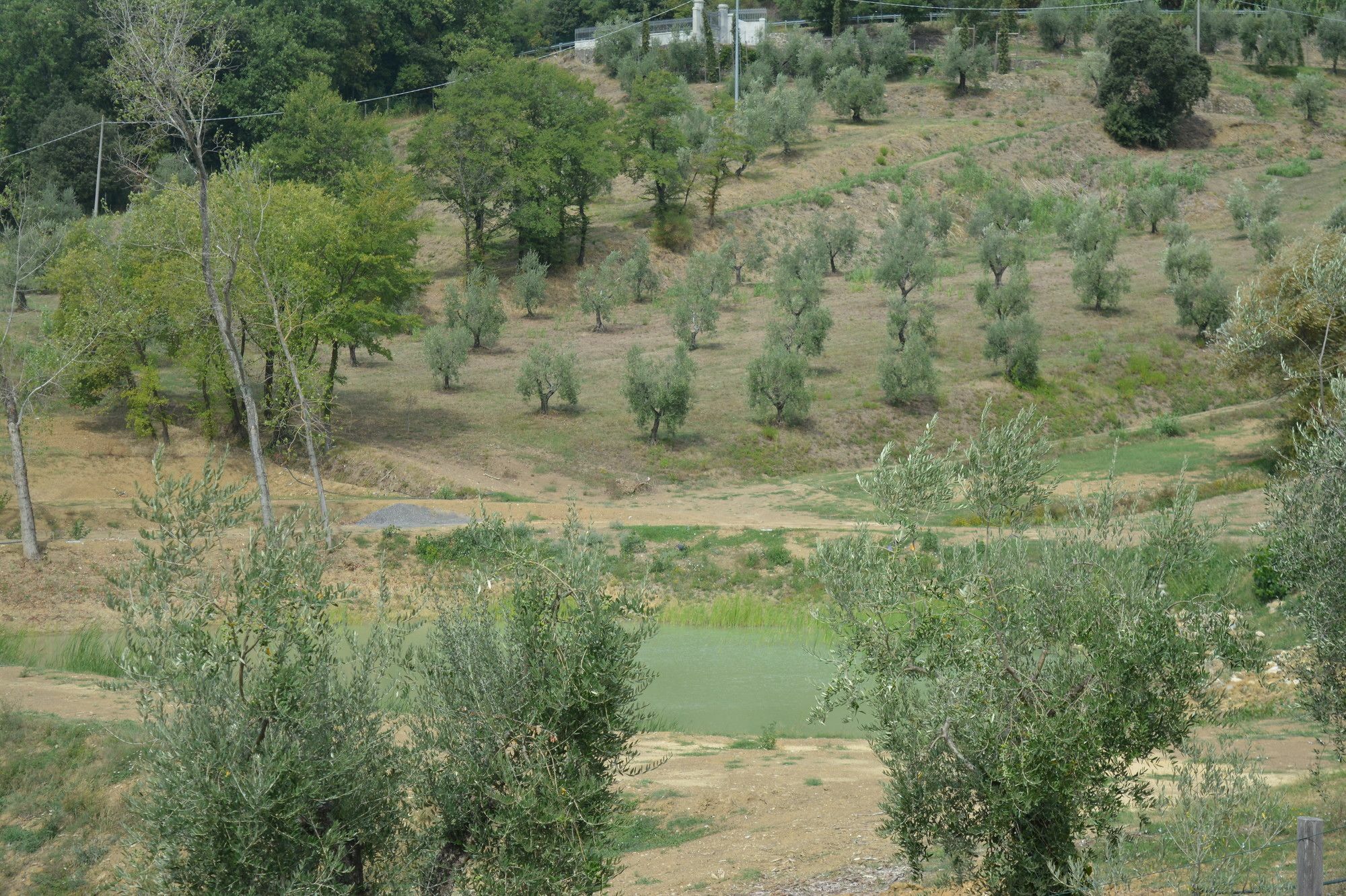 Podere Delle Fanciulle Пистойя Экстерьер фото