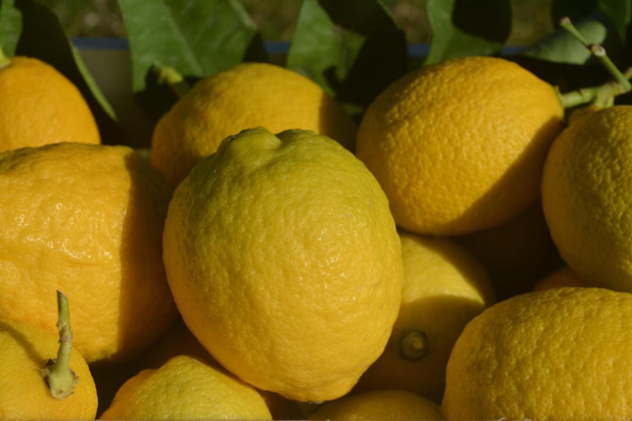 Podere Delle Fanciulle Пистойя Экстерьер фото